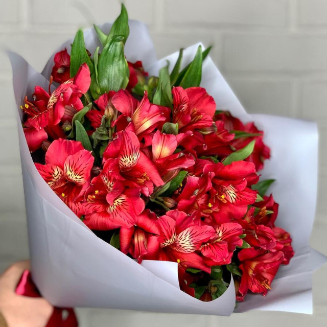 Alstroemeria goshen flower delivery dubai