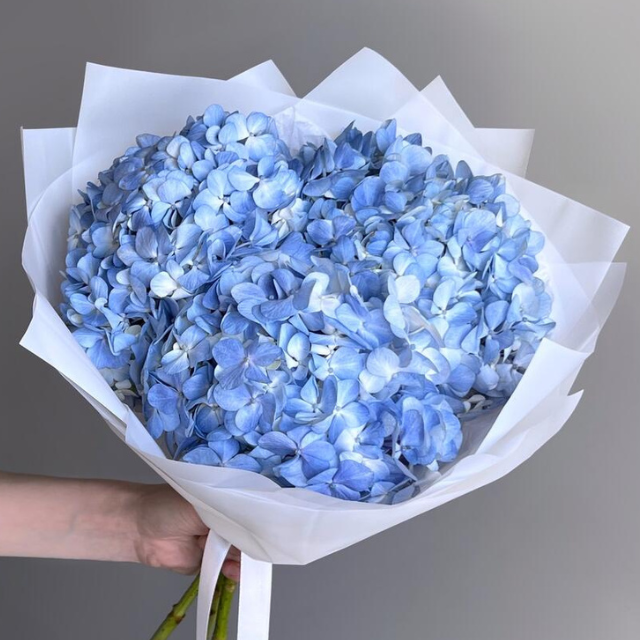 Blue Hydrangea Delivered in Dubai by goshen flower