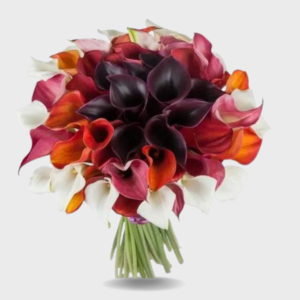 Calla Lily Spectrum Bouquet