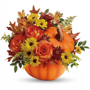 Country Pumpkin for Halloween goshen flower