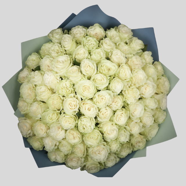 Ecuadorian white roses goshen flower delivery Dubai. This is good for any occasion, funeral, birthday, get well soon