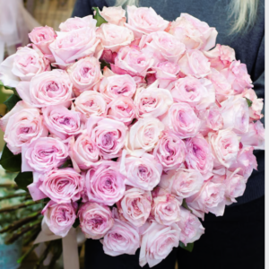 Pink Ohara Roses one of the most liked rose and used a symbol of luxury and elegancy in dubai