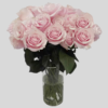 Pink Mondial Rose goshen flower delivery Dubai