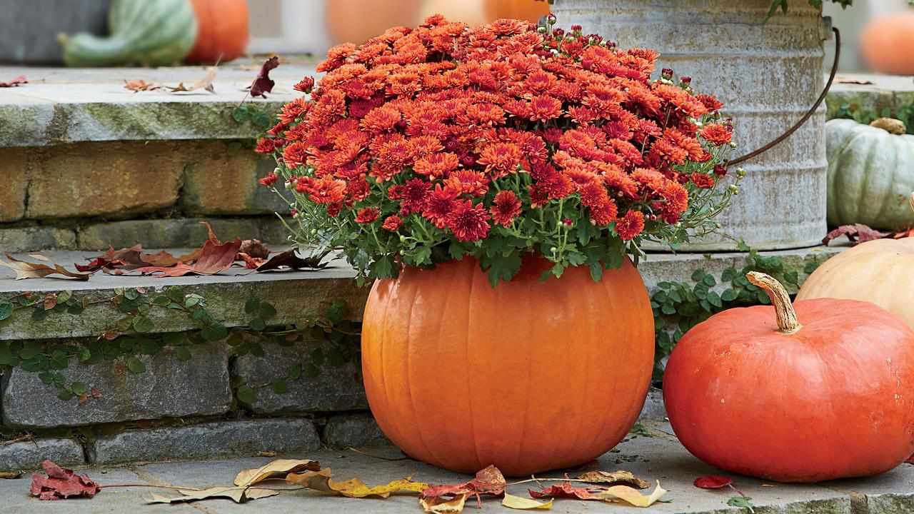 autumn flowers delivery in Dubai