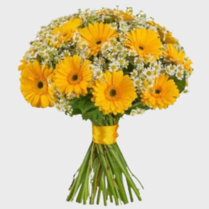 Daisy Gerbera & Tanacetum Bouquet