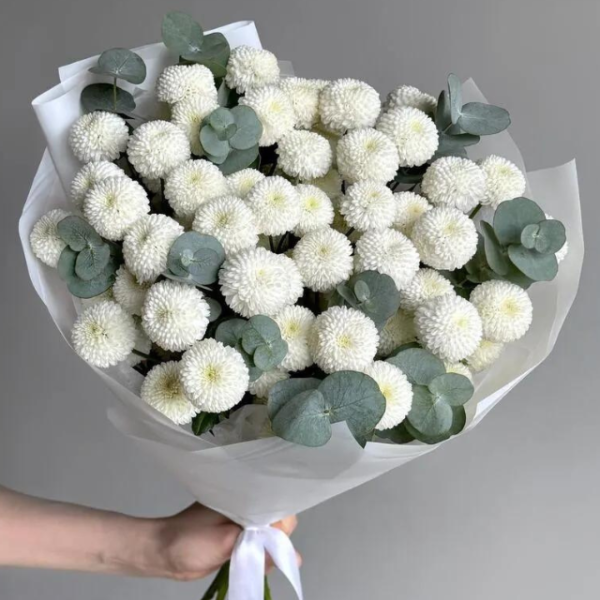 White Ping Pong Chrysanthemum goshen flower deliver dubai