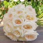 White Ohara Roses goshen flower delivery Dubai