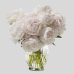 Blush Pink Peony with Vase