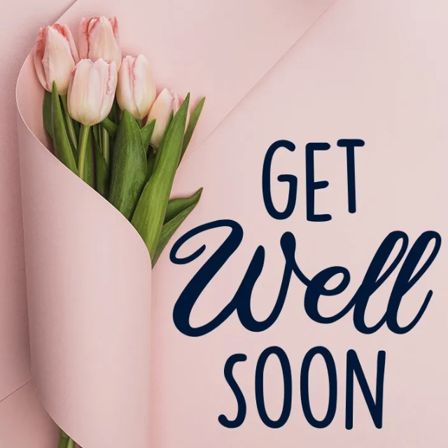 Get well soon goshen flower