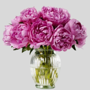 Pink Peony Elegance Vase