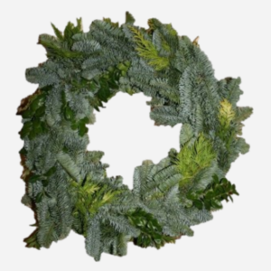 Christmas Wreath Nobilis