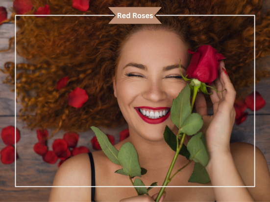 Everything You Need to Know About Your Red Roses