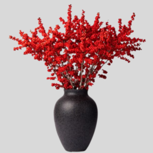 Festive Crimson Ilex Vase