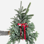 Noblis Fir Festive Branches